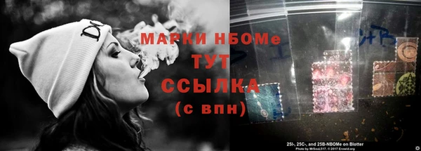 стаф Баксан