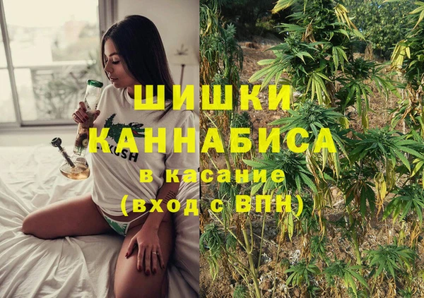 стаф Баксан