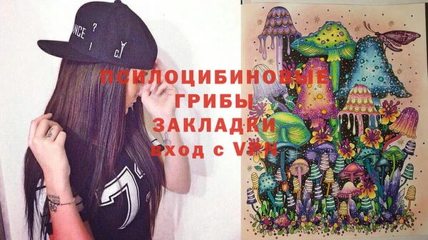 гидра Балахна
