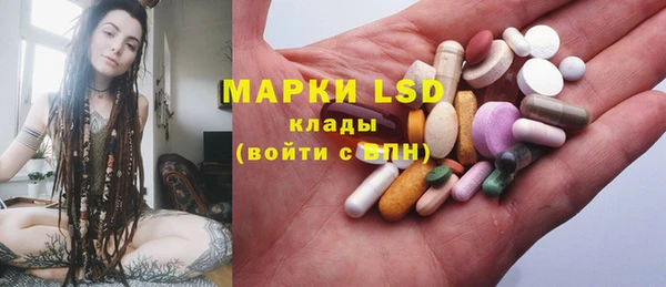стаф Баксан