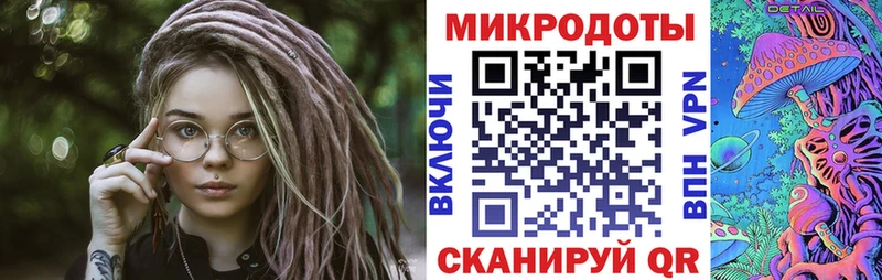Псилоцибиновые грибы Psilocybine cubensis  цены   Грязовец 